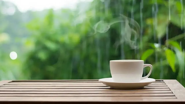 Pakistan Minister Urges People To Drink Less Tea, Says Country Has To Borrow For Tea Imports