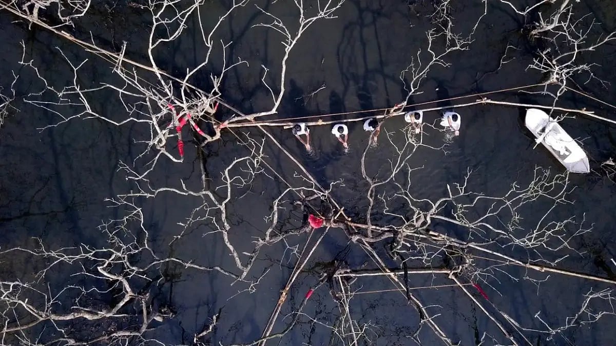 Water Healing ritual being performed by the Earthivist Collective as part of their performance