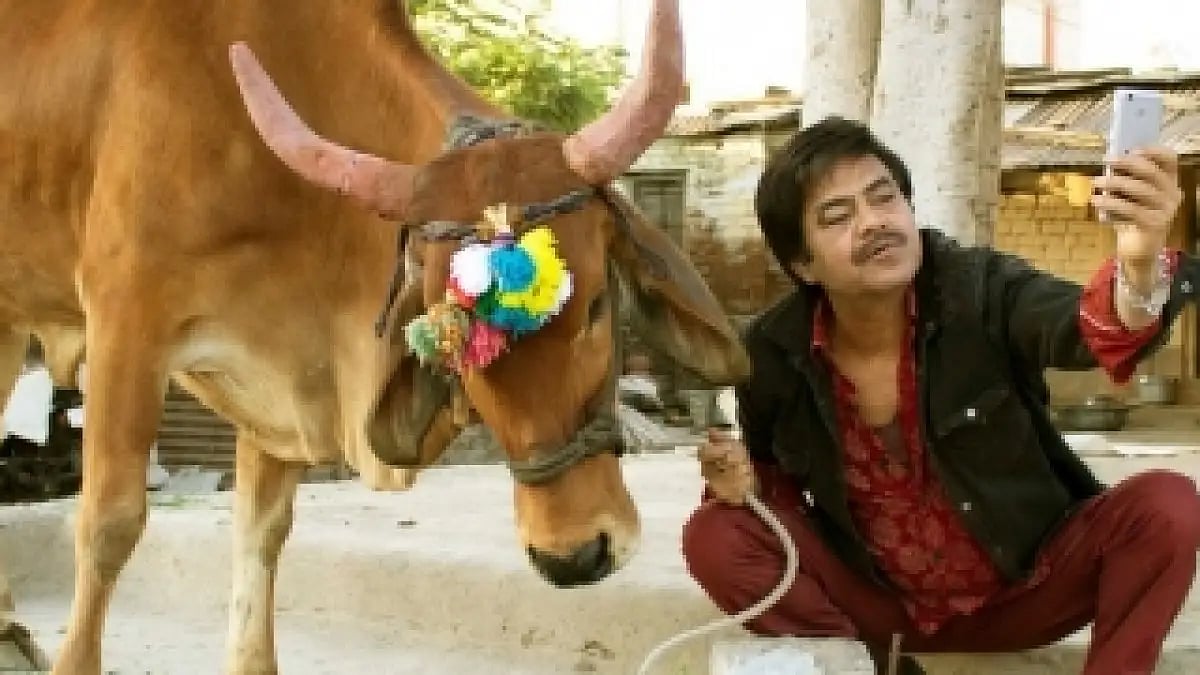 Nawazuddin Siddiqui and Sanjay Mishra-starrer 'Holy Cow' 