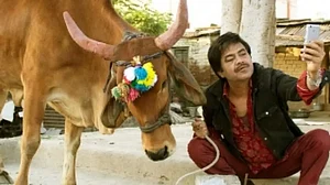Sanjay Mishra-Starrer 'Holy Cow' Poster Is Intriguing, Humorous