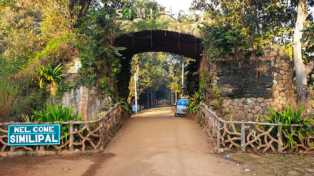 The national park will remain closed till October, Similipal Tiger Reserve field director said.