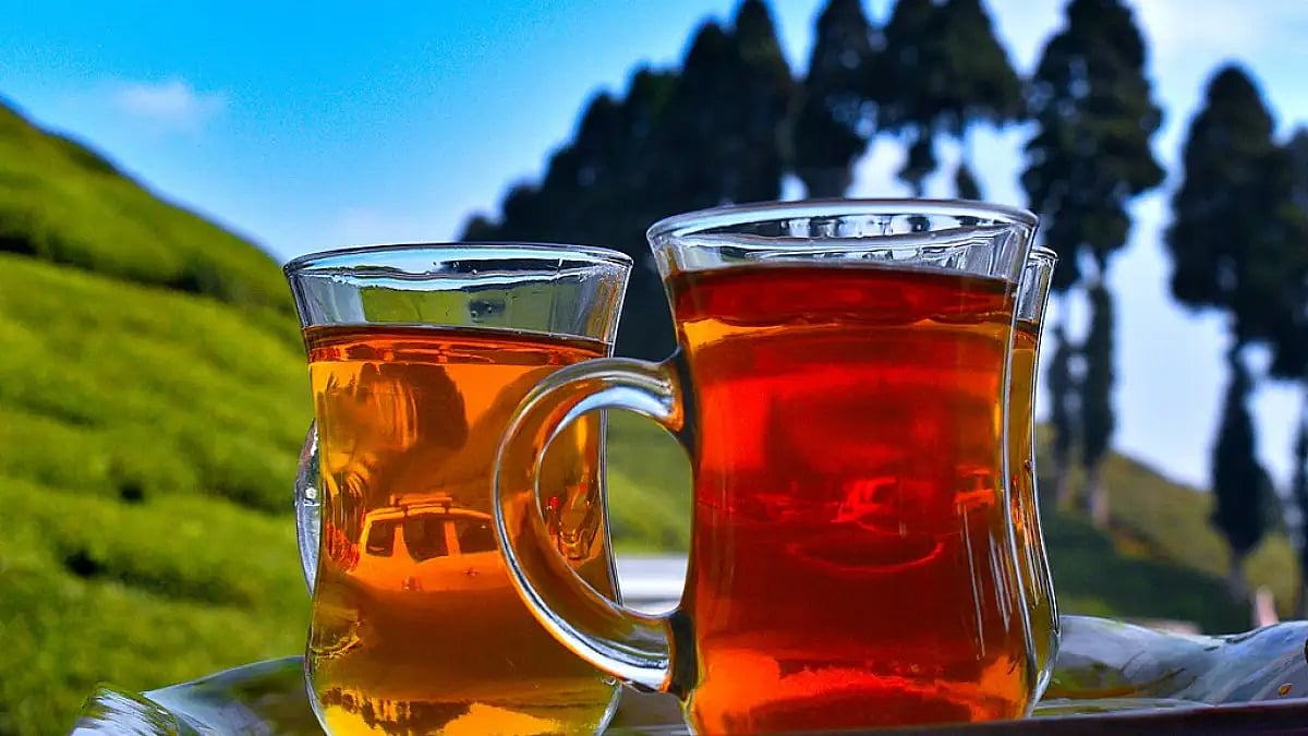 Tea from the Gopaldhara tea estate is in a class of its own 