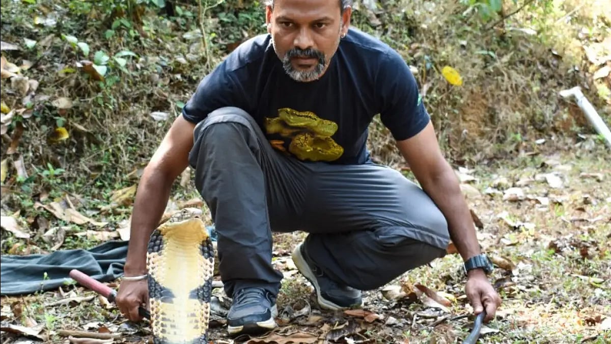 Wildlife biologist Gowri Shankar is working towards King Cobra's conservation