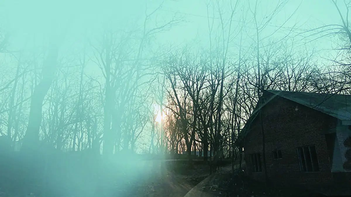 Climate Is A Refugee: The Story Of Nature And Man In Poetry