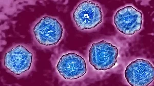 Emergence of Poliovirus in London