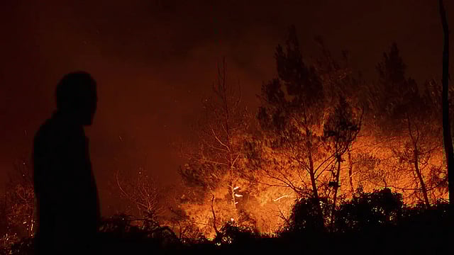 Cyprus Wildfire: Israel Sends Airborne Water Sprinklers To Douse Raging Fire