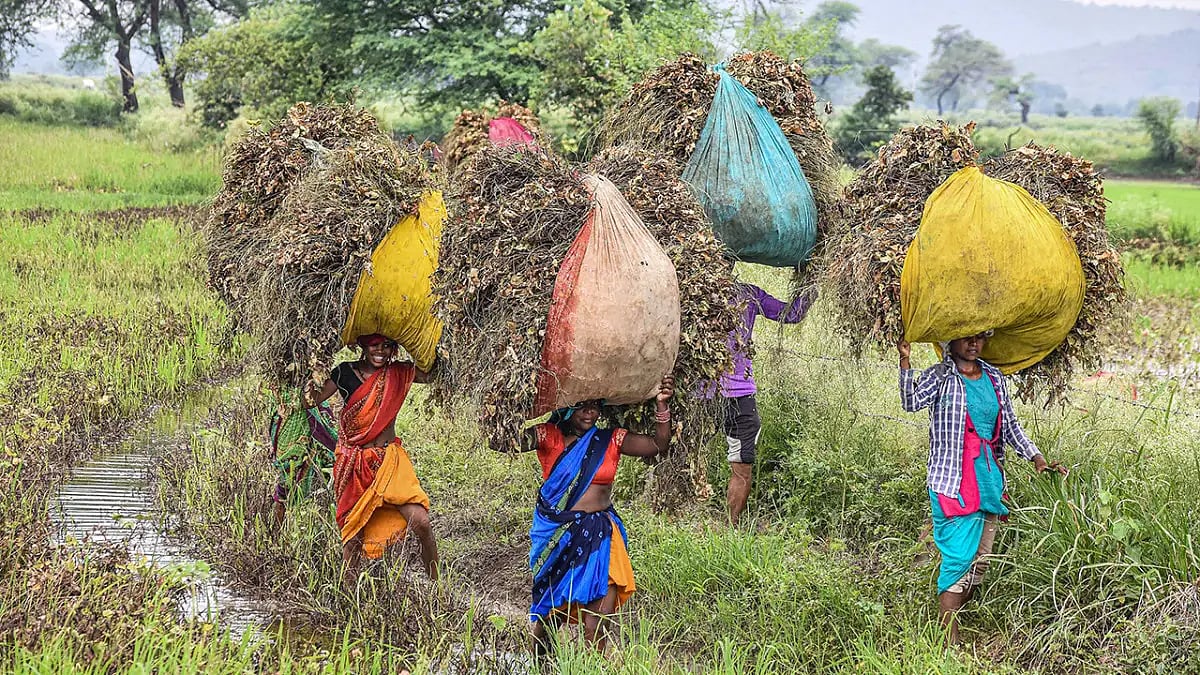 Tribal women at work in Jabalpur 