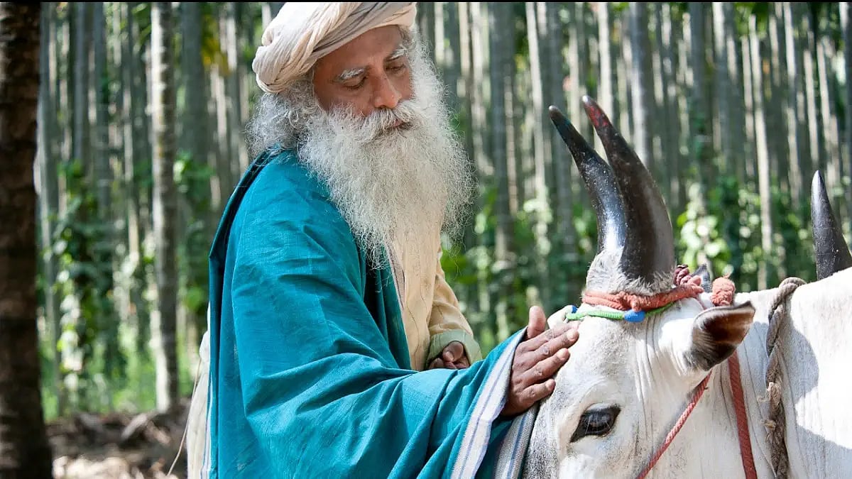 Sadhguru, Founder, Isha Foundation