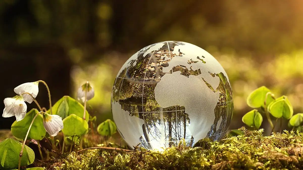 World Environmental Health Day