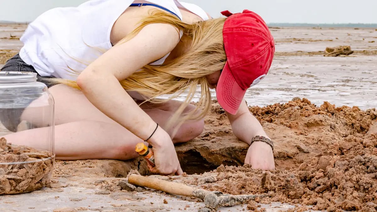 As iron oxide is present in the soil along with clay particles, the crystals appear brown