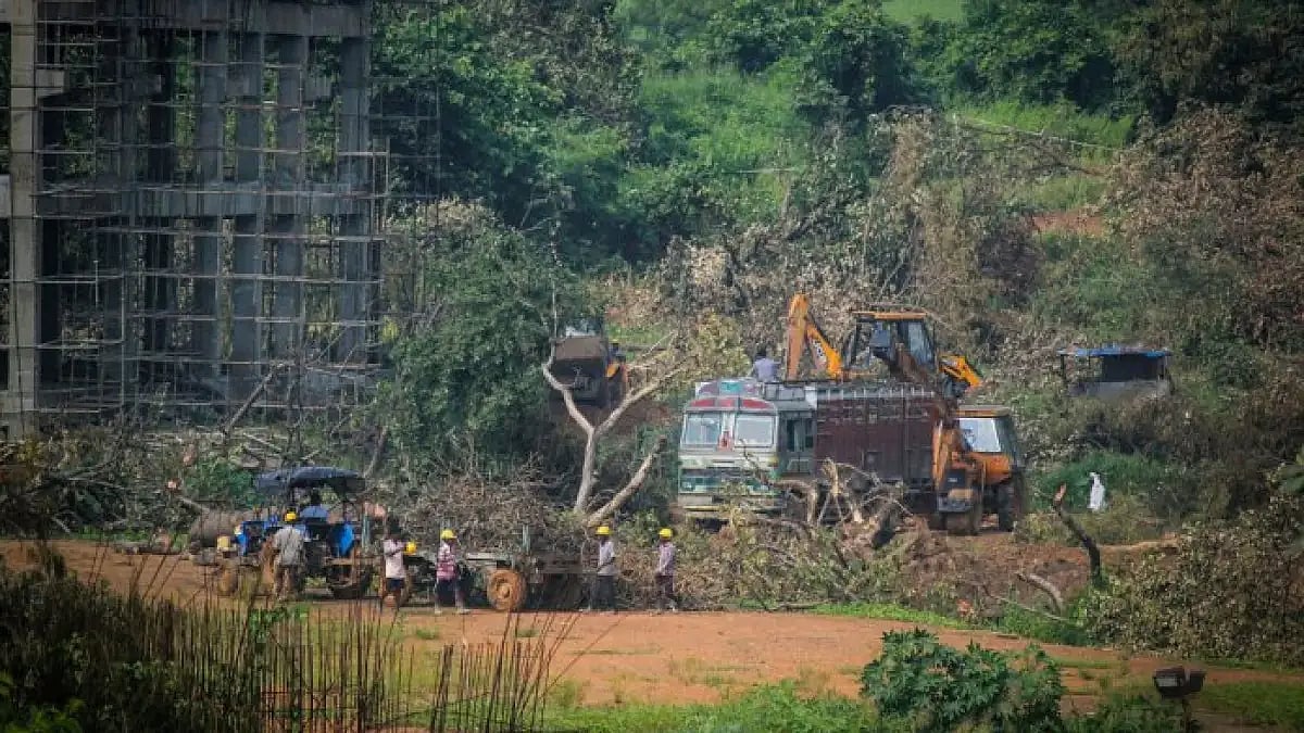 Mumbais Aarey Colony.