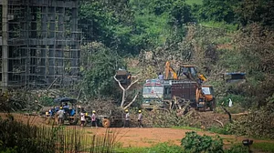 Mumbai's Aarey Colony.
