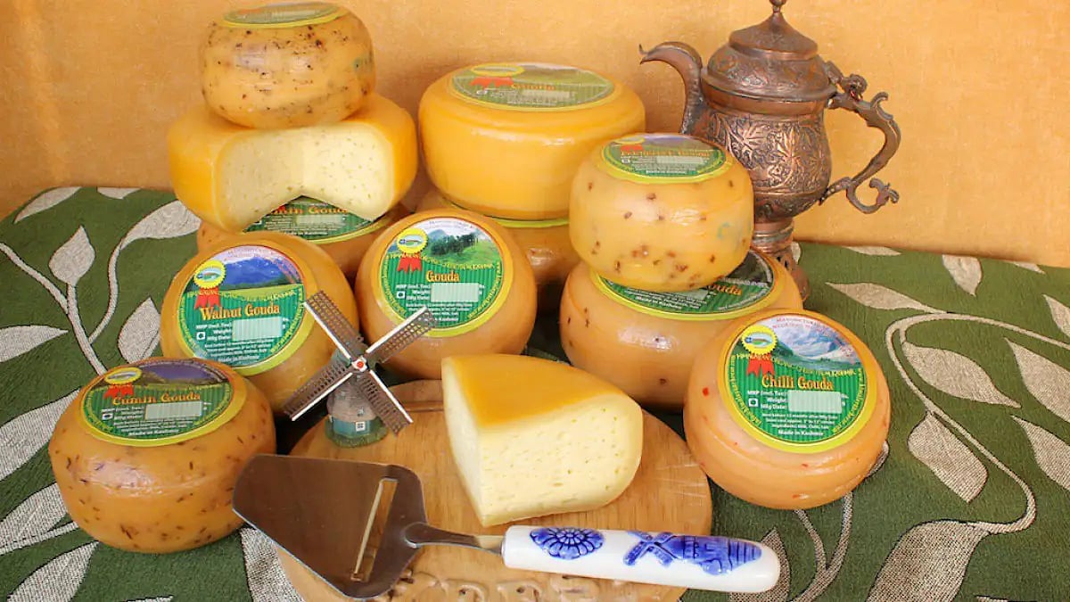 The milk for Kashmir brand Himalayan Cheese is sourced from Gujjars, semi-nomadic pastoralists who r