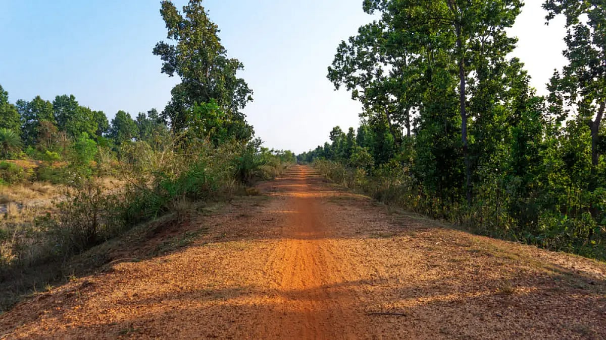 Short Story: The Reunion 