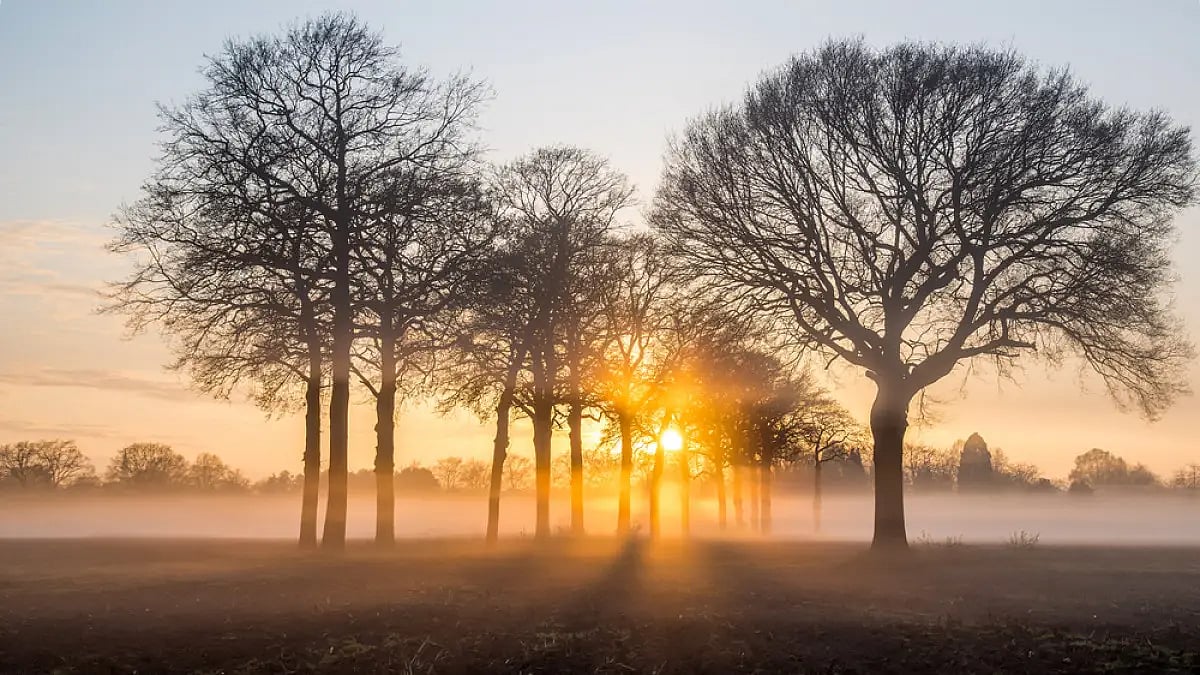 Poetry: The World of Metaphors, Death, Love, And Hope