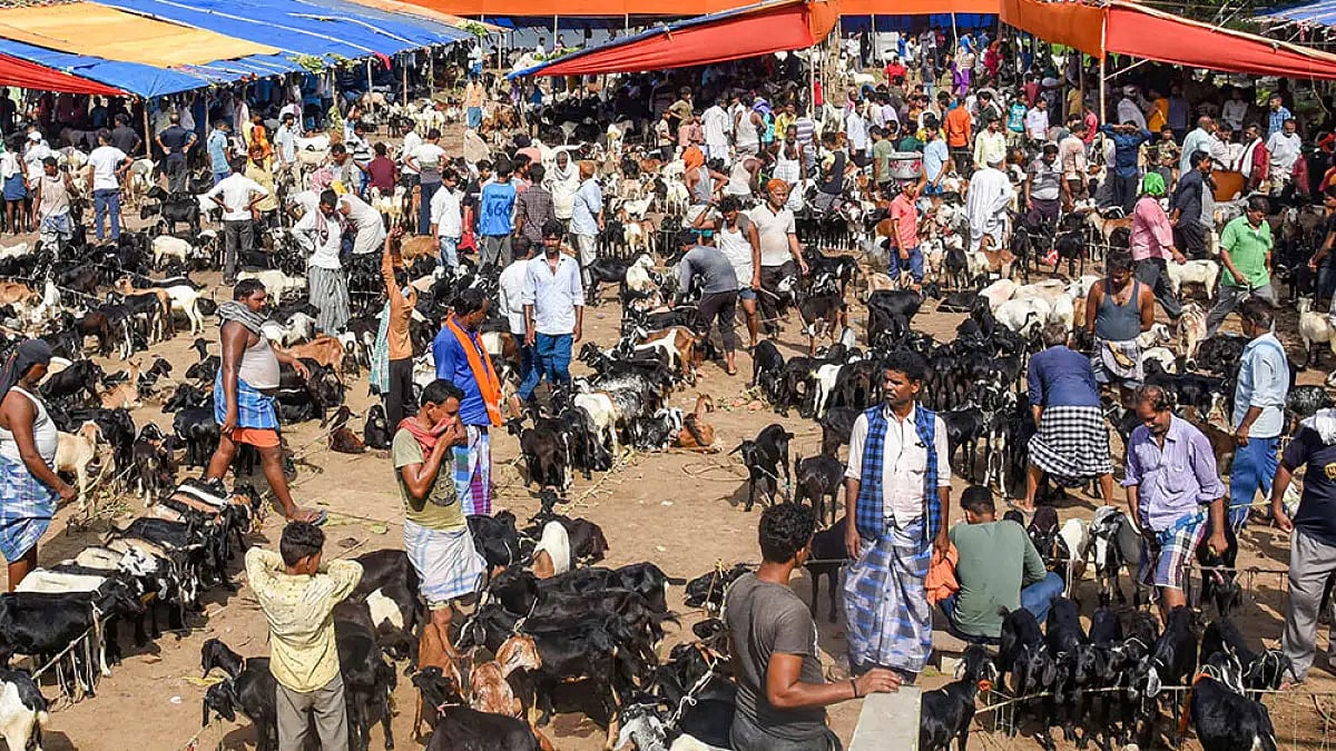 Bakrid: Several 'Imams' Appeal To Muslims To Not Offer Sacrifices Of Animals In Open Spaces