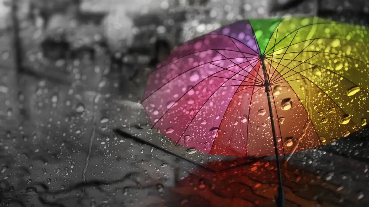 Make a grey day colourful 