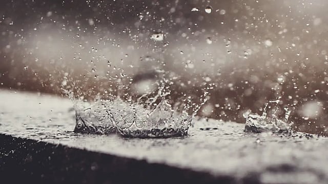 Love In The Time Of Monsoon