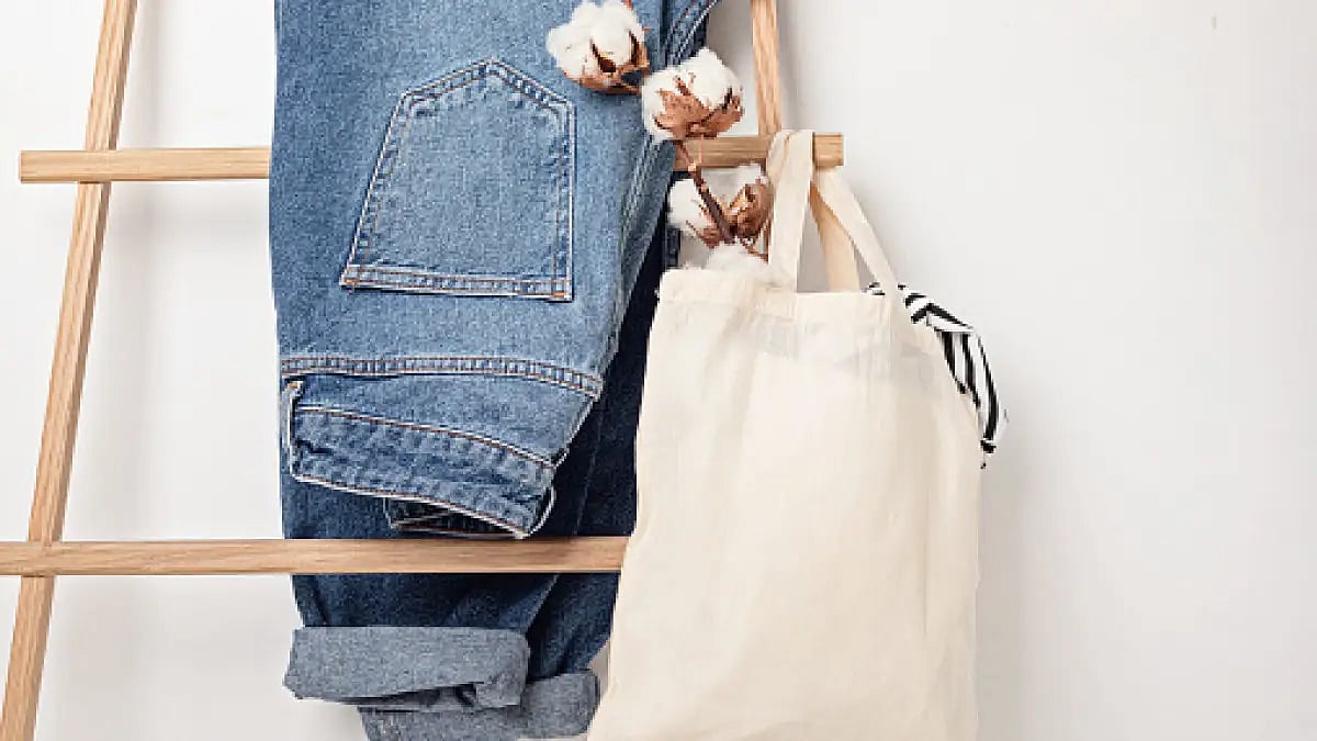 The butterfly clip and the Jolnapai.