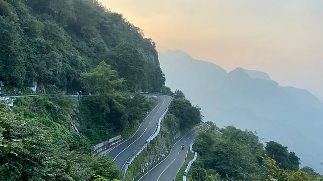 Rainy Day Road Trip: Of Forests And Wild Beasts