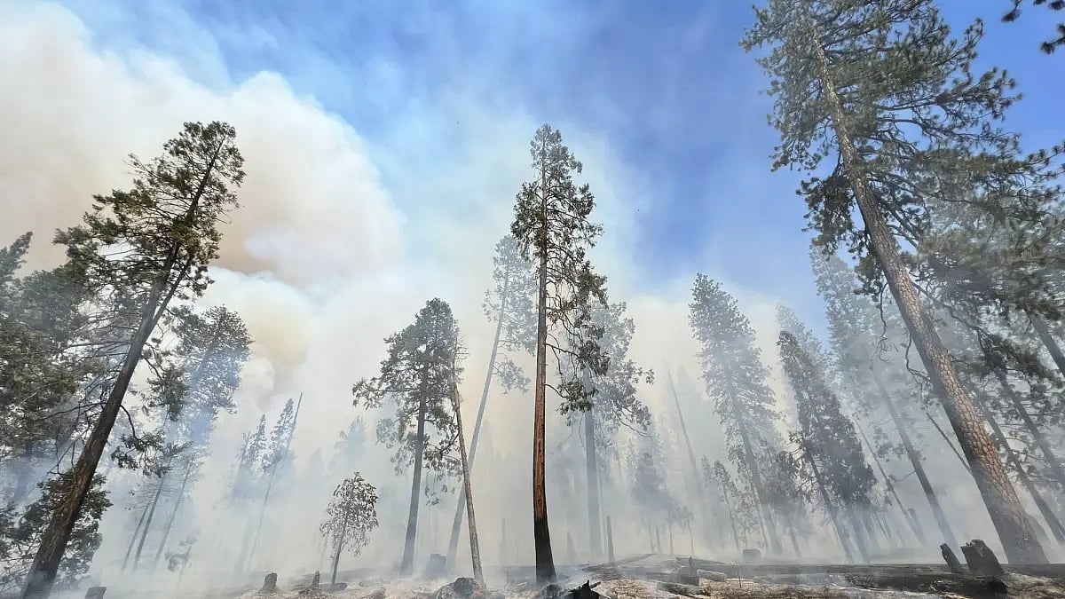 An air quality advisory was issued to Bay Area 200 miles