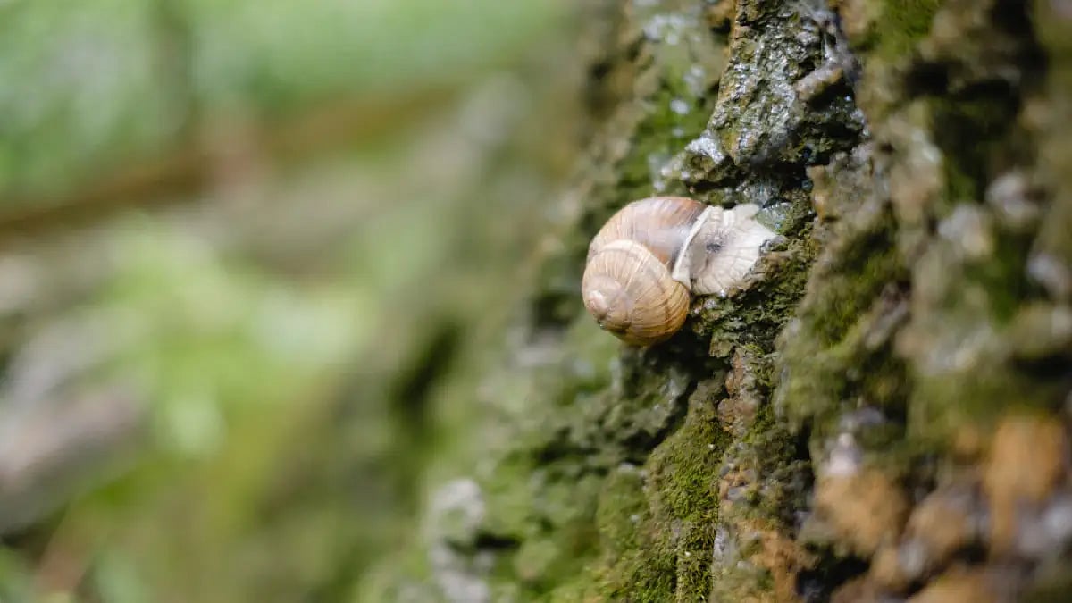 Let's walk the tides home...