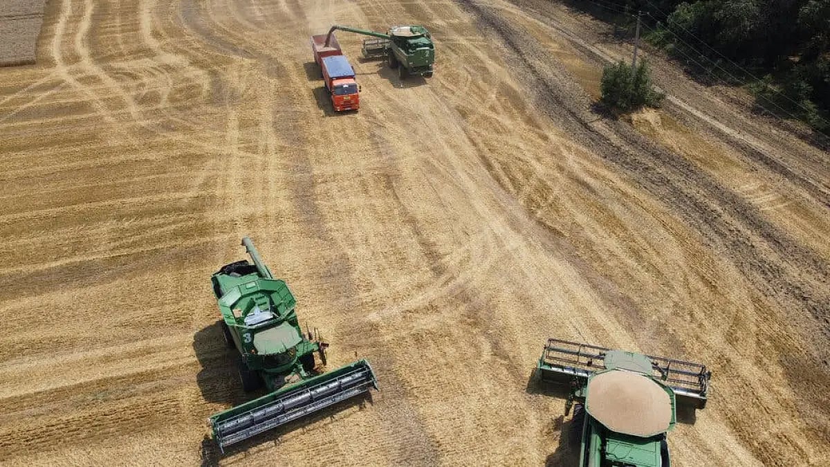 Representational Image