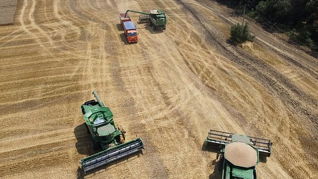  Russian, Ukrainian Militaries Set To Discuss Grain Exports