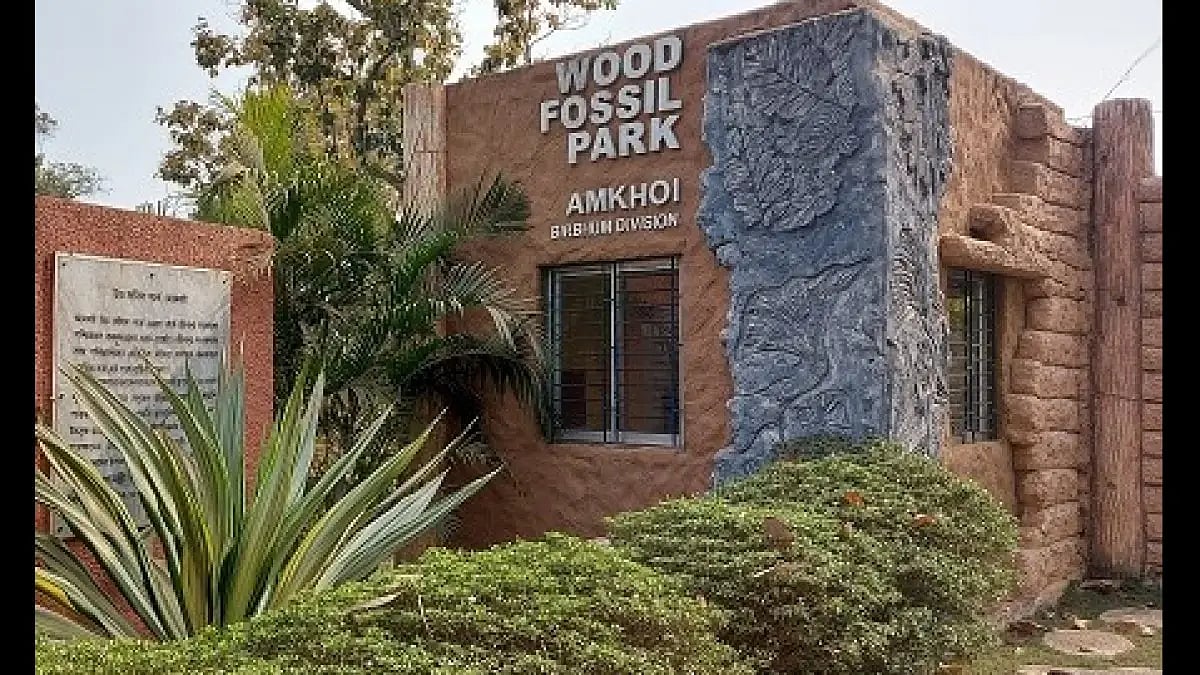 Amkhoi Fossil Park near Bolpur in West Bengal