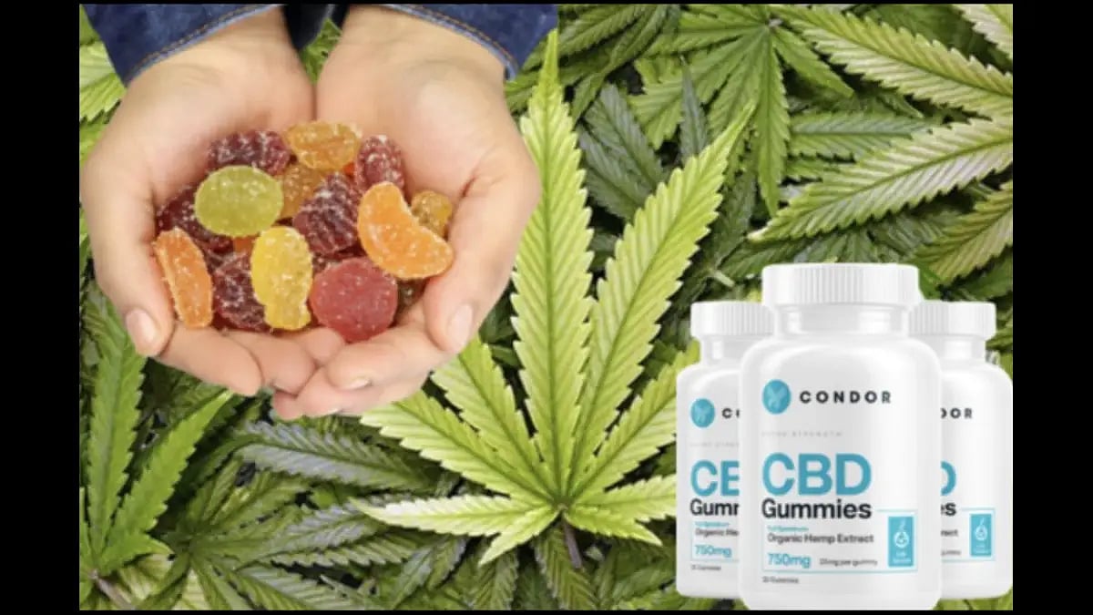 Condor CBD Gummies