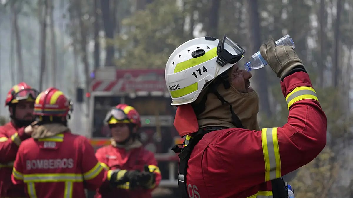 Portugal forest fire