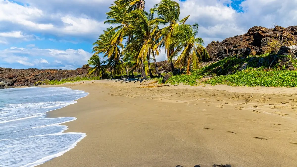  The pool has a mix of fresh as well as salt water