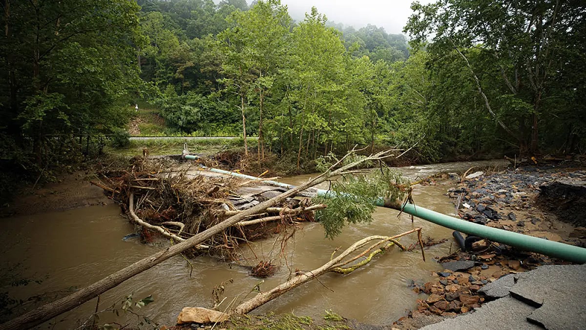 All Families In Flood-Ravaged Yanam Will Get Cash Relief: Tamilisai