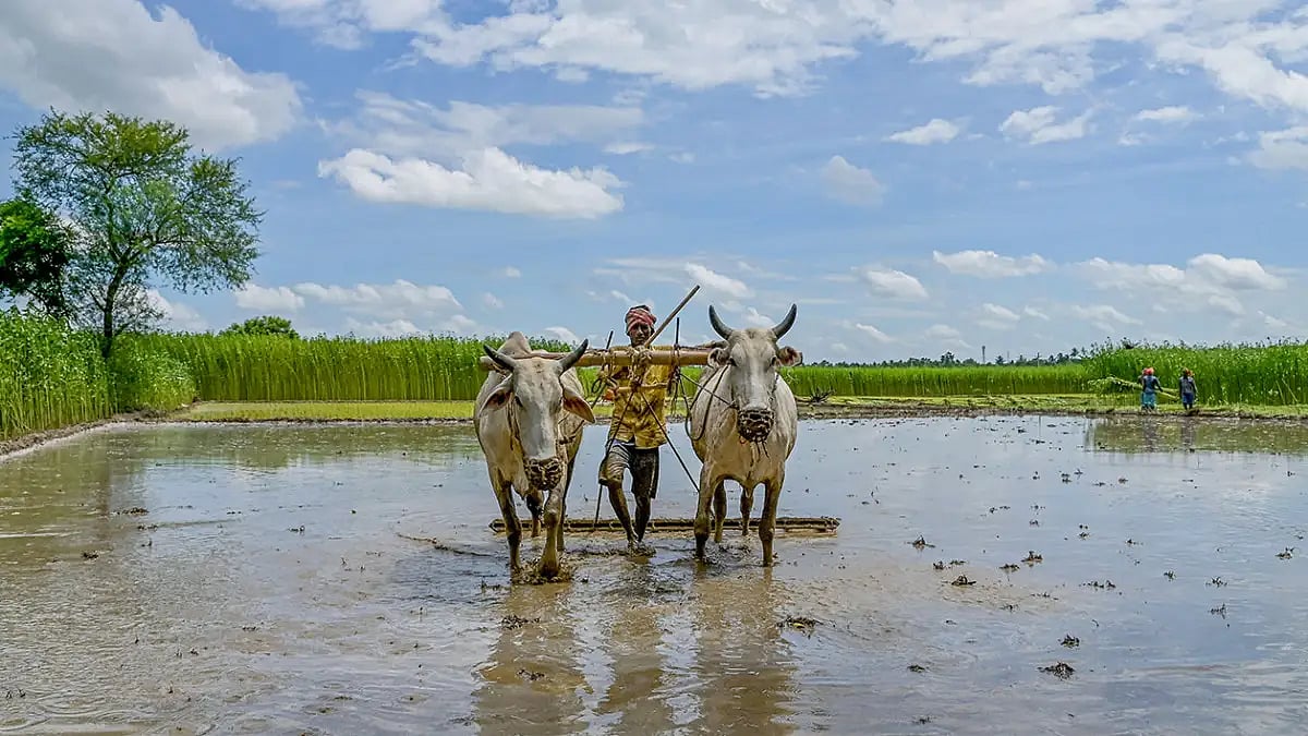 Representative photo