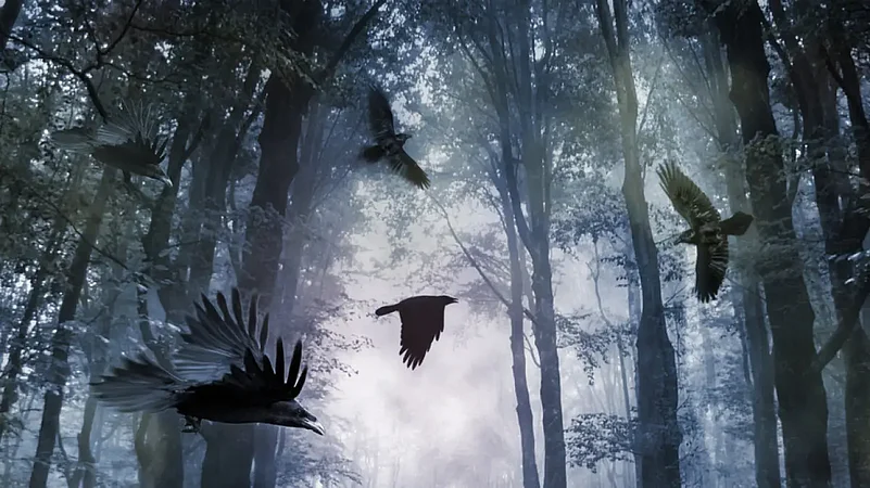 Elegy of an Origami crow