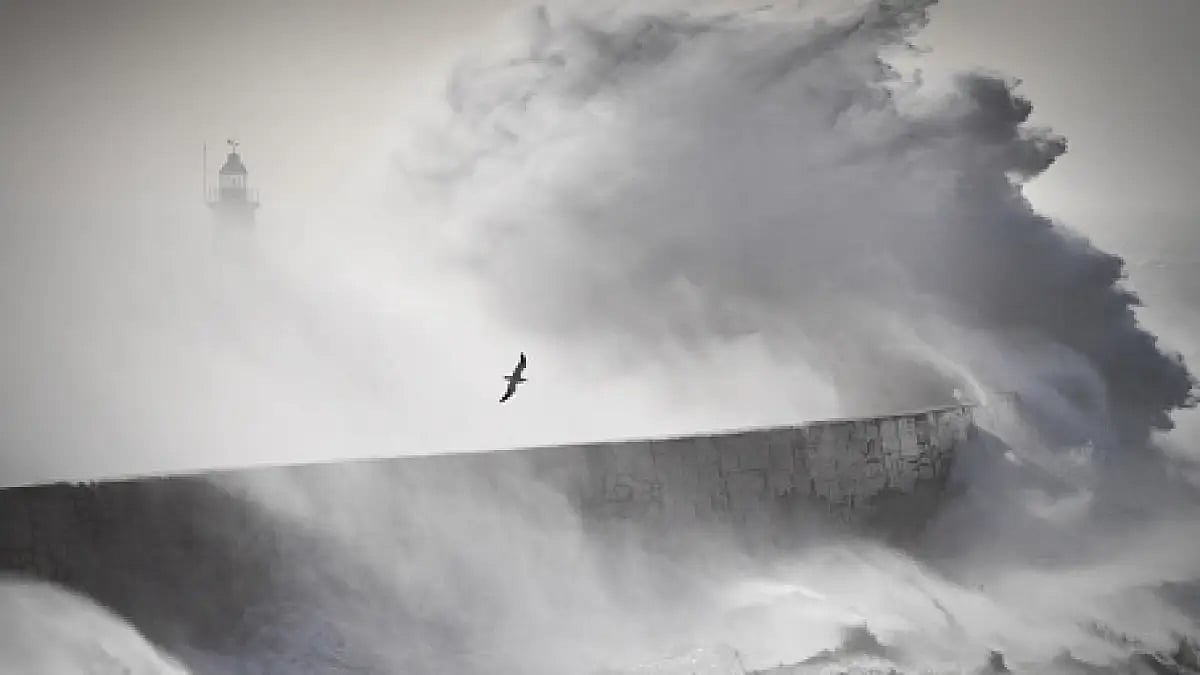 A voyage through India and the self