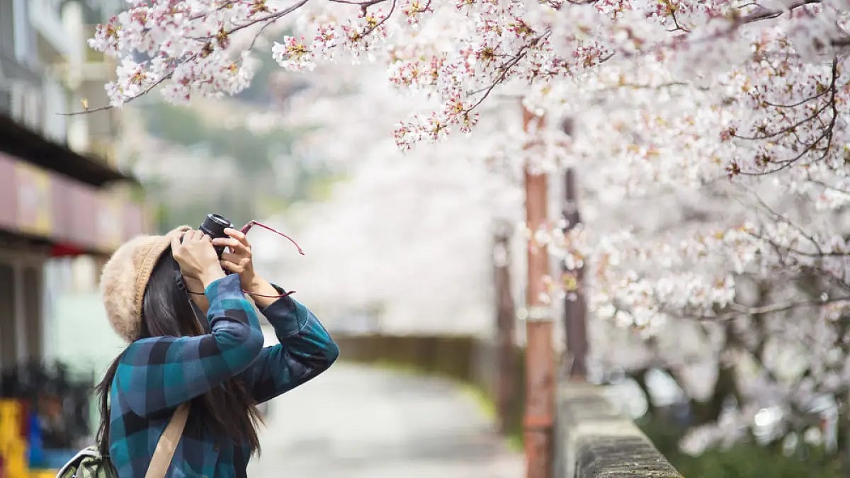  Due to this, the rich economy of Japan is also suffering