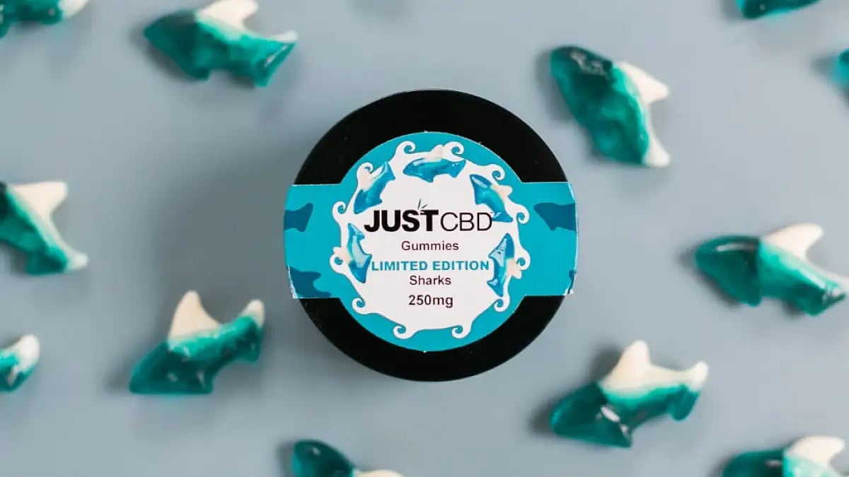 Best CBD edibles for 2022 