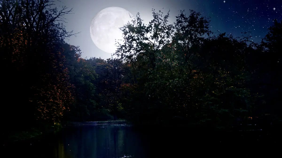 And just one day later, I was sitting in the moonlight flooded beehed...