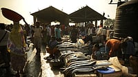 Bombay fish market. 