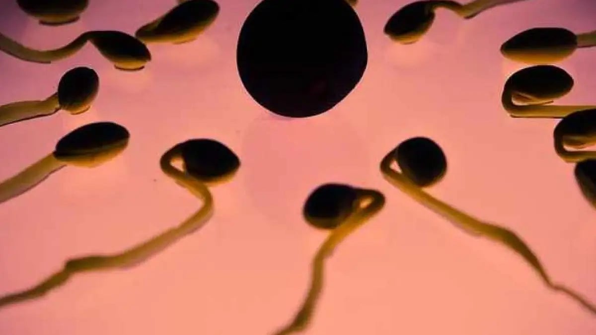 Representational Image