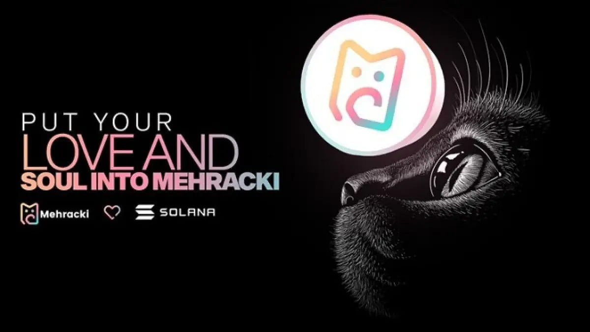  How Are Mehracki And Ethereum Integrating Into Society?