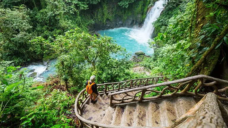 It is mandatory to fill out the form in Spanish - null