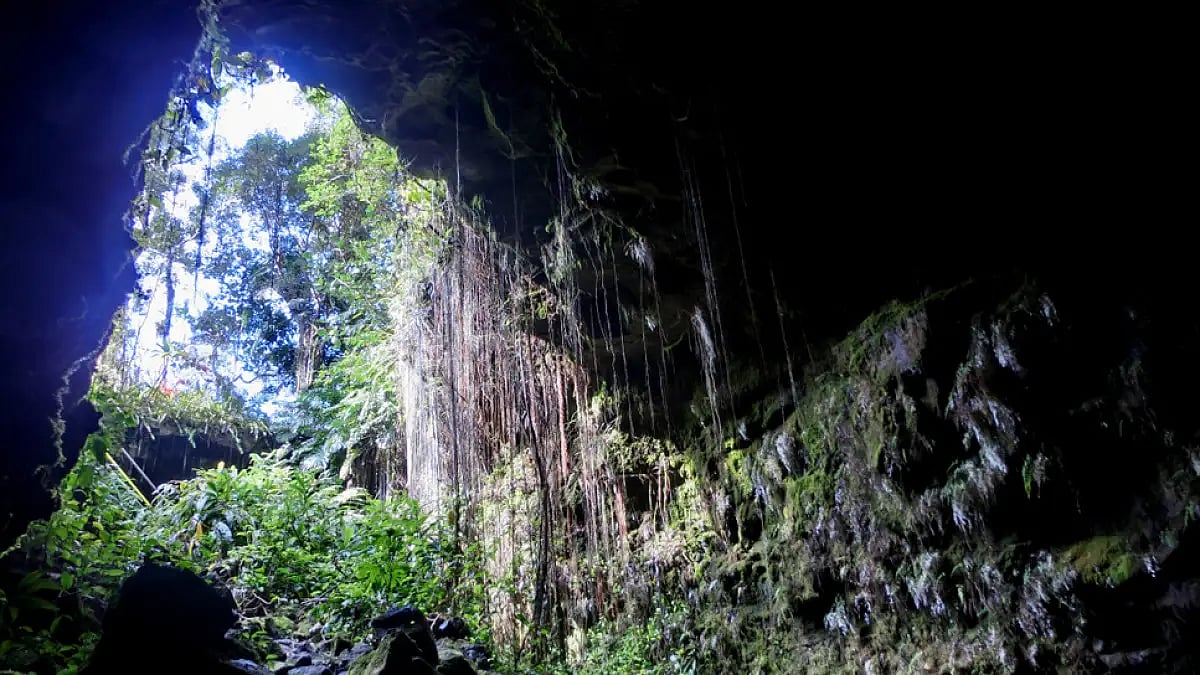 With a change in the environment, their social structure changes too