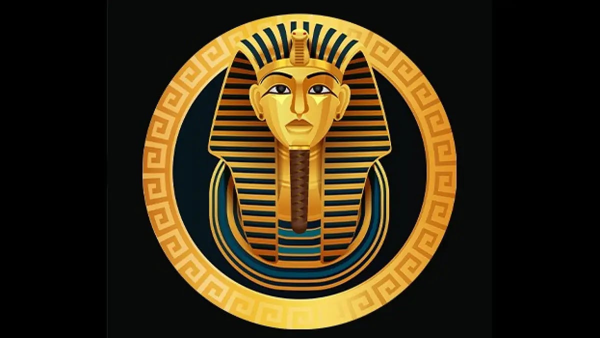 5 Tools that are perfect for finding rare NFTs as per Cairo Finance