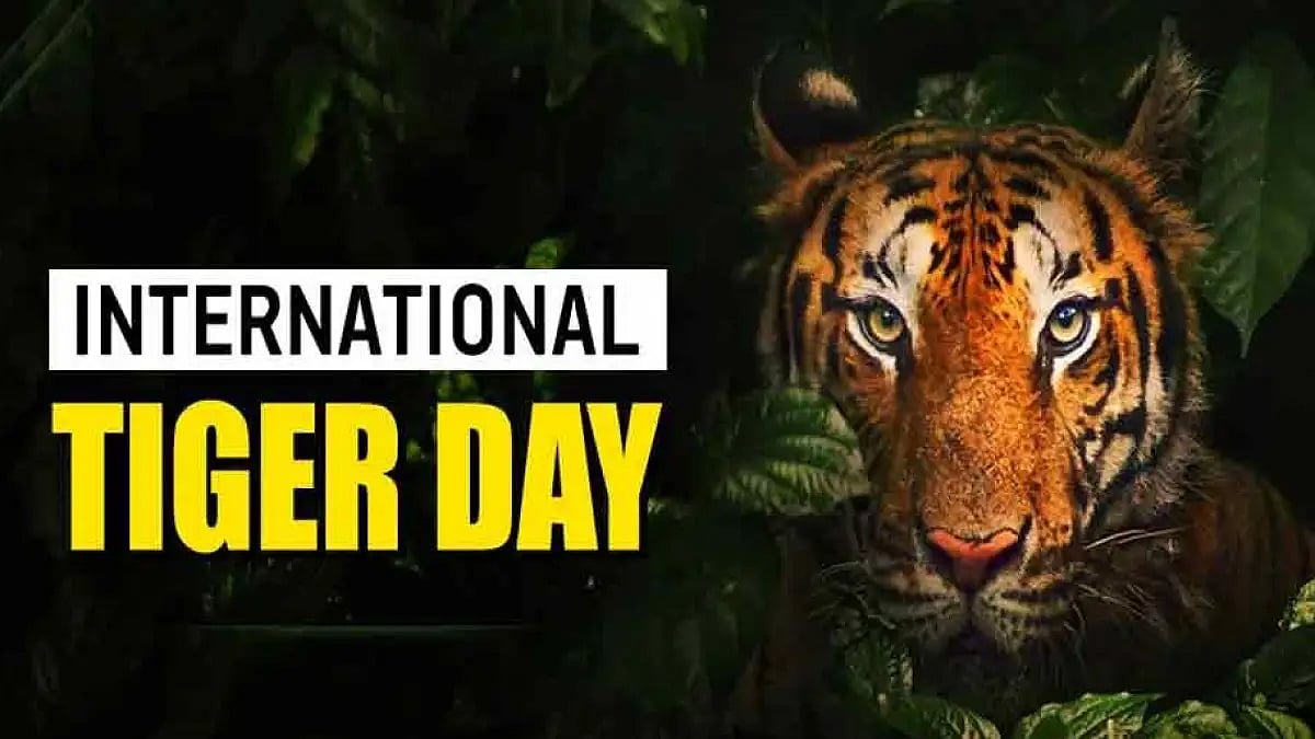 Celebs Talk On International Tiger Day