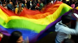 A representative image of pride walk.