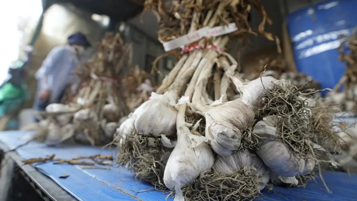  South Korean garlic video ad 