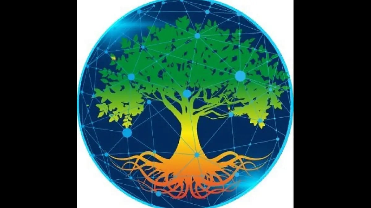 5 best tools to help you find rare NFTs as per grove token 