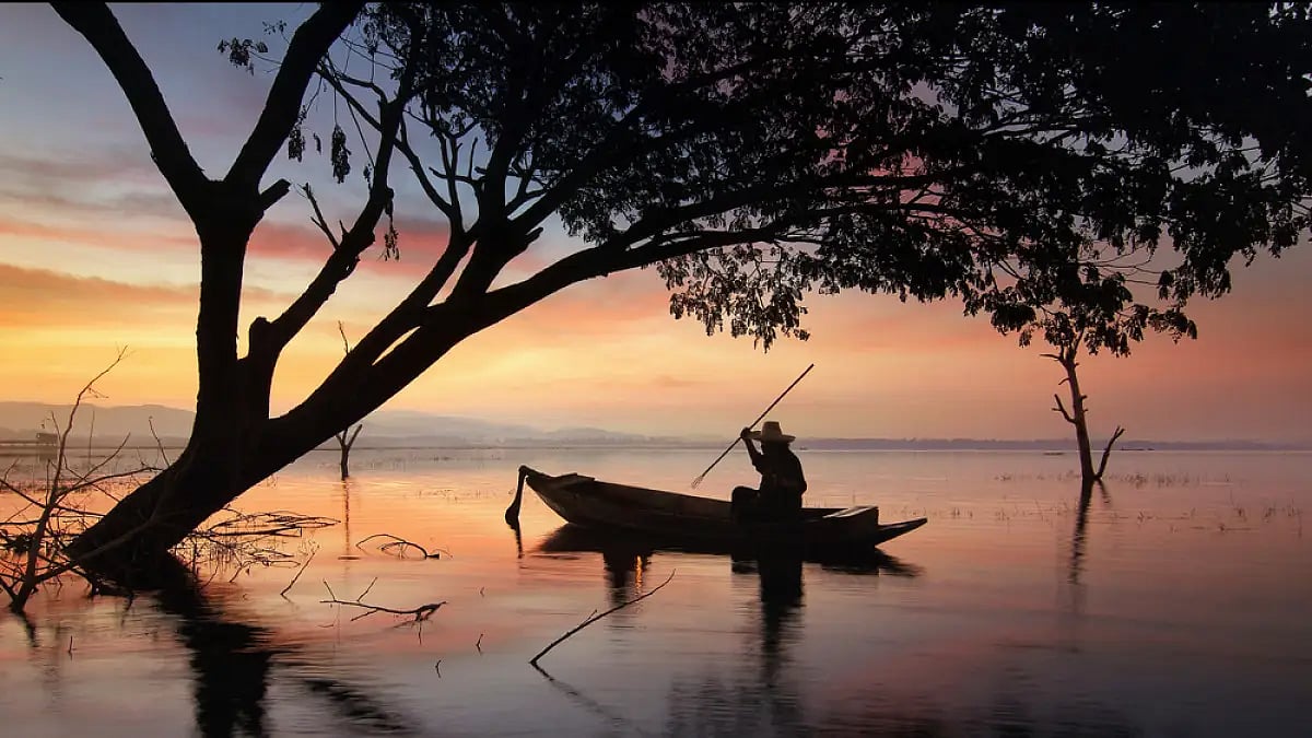 An afternoon in my mind...